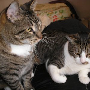 Meet your Posher, Ann